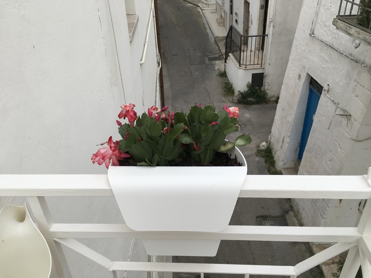 Casa Carlotta * Ostuni
